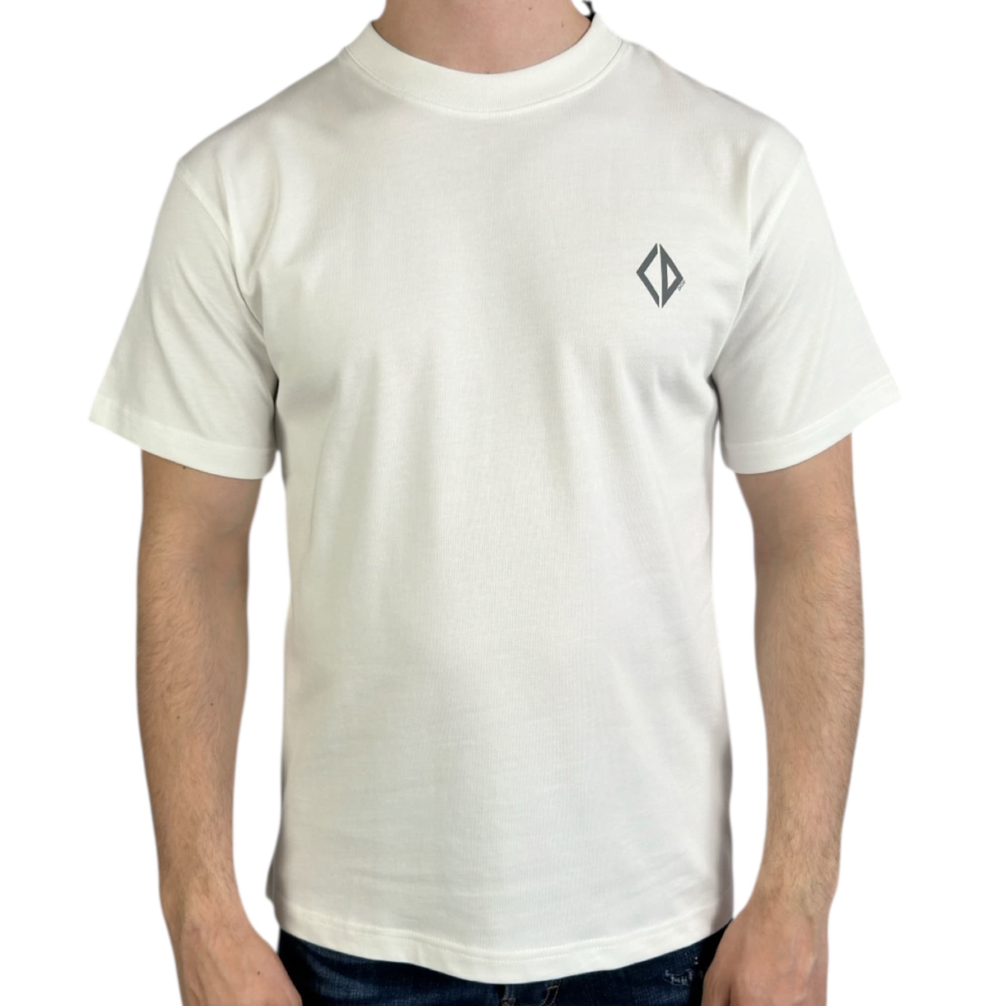 Dior T-shirt CD Reflective White